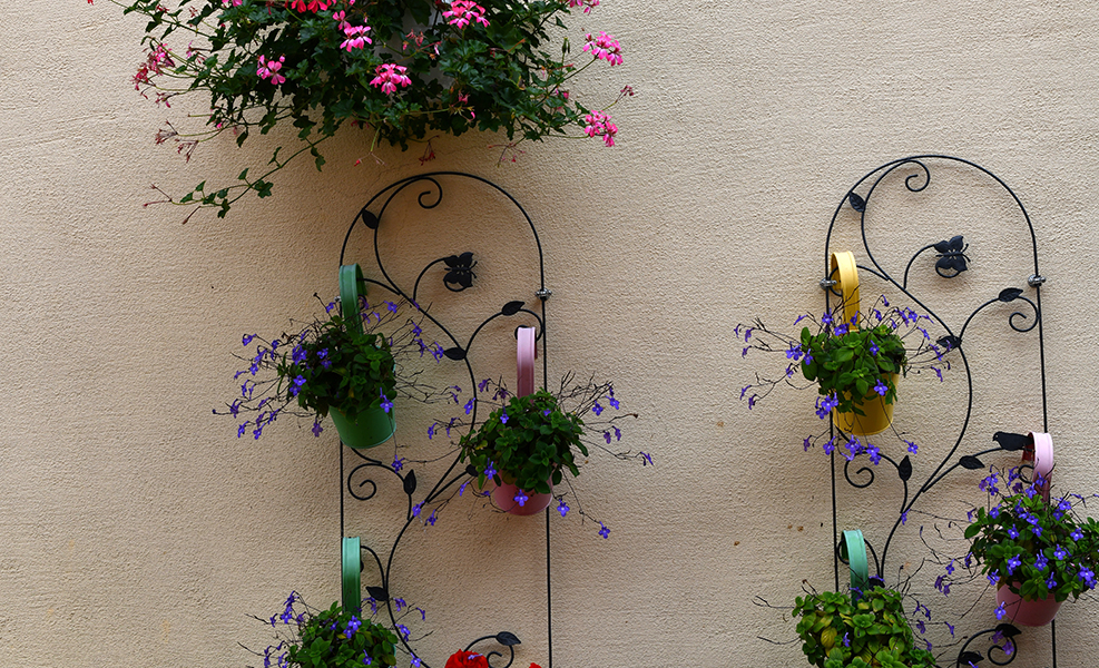 fleuriste Hyères, fleuriste Var, fleuriste 83