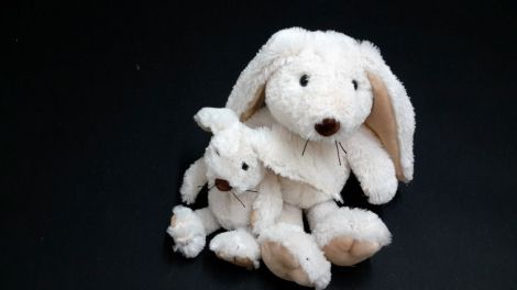 Peluche lapin blanc